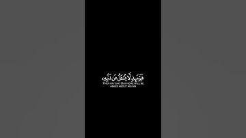 فإذا انشقت السماء فكانت وردةً كالدهان | كرومات قرآن كريم بصوت #محمد_اللحيدان | #سورة_الرحمن