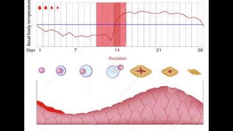 #Differences_between-Fertility_and_Fecundity #Measures_Of_Fertility #Class_10_EPH, #CBR, TFR