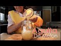 Aguita De Melon/ Cantaloupe Water (How To)