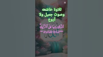 إسلام صبحي وتلاوة خاشعه #حور #muslimah #اكسبلور #دويتو #تيك_توك #لايك #muslim #muslims #muslimgirl