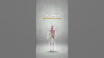 وَضَرَبَ لَنَا مَثَلًا وَنَسِيَ خَلْقَهُ #احمد_العجمي #سورة_يس
