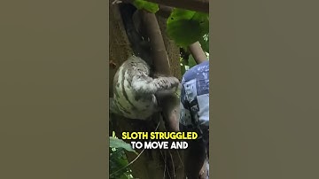 He was helpless until this happened 🥺🙏 #shorts