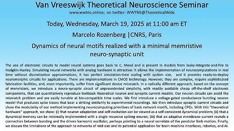 Dynamics of neural motifs realized with a minimal memristive ...,  Marcelo Rozenberg, CNRS, Paris
