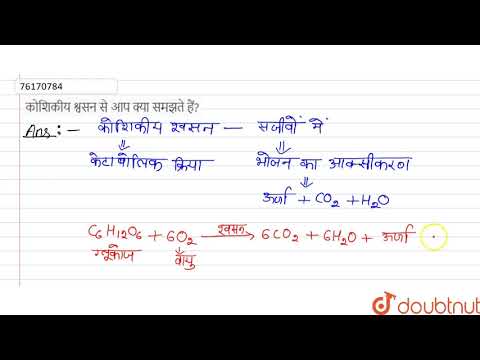 वीडियो: कोशिकीय श्वसन का सही समीकरण क्या है?