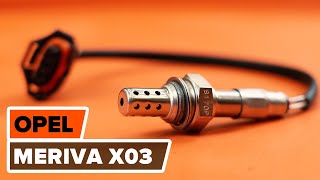 Consejos para cambio Sensor de oxígeno VAUXHALL