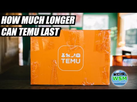 How Much Longer Can Temu Survive?