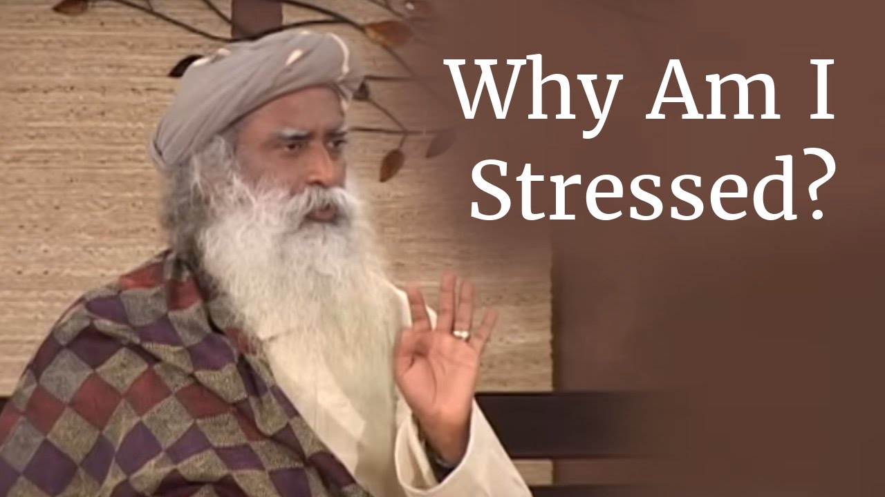 Why Am I Stressed   Sadhguru on Stress