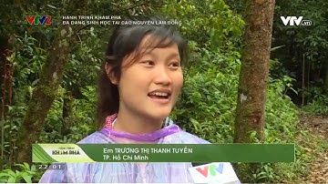 Hành trình khám phá Đa dạng sinh học tại cao nguyên Lâm Đồng