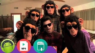 Bruno Mars - The Lazy Song [Download MP3 & MP4 FREE]