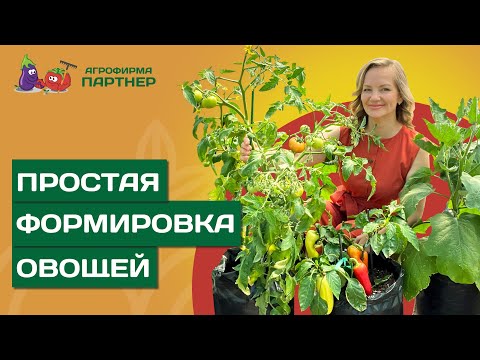 ОСОБЕННОСТИ ФОРМИРОВАНИЯ ОВОЩЕЙ ДЛЯ ВСЕХ ВИДОВ ГРУНТА