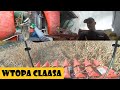 Awaria Capello😱MOKRO NA POLACH😃Agro Dniówka #147😃Agro Kuzyni