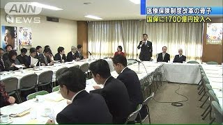 医療保険制度改革の骨子　国保に1700億円投入へ（15/01/08）