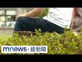 科技產業、台股與民生消費：電腦漲價、台積電海外合作傳聞