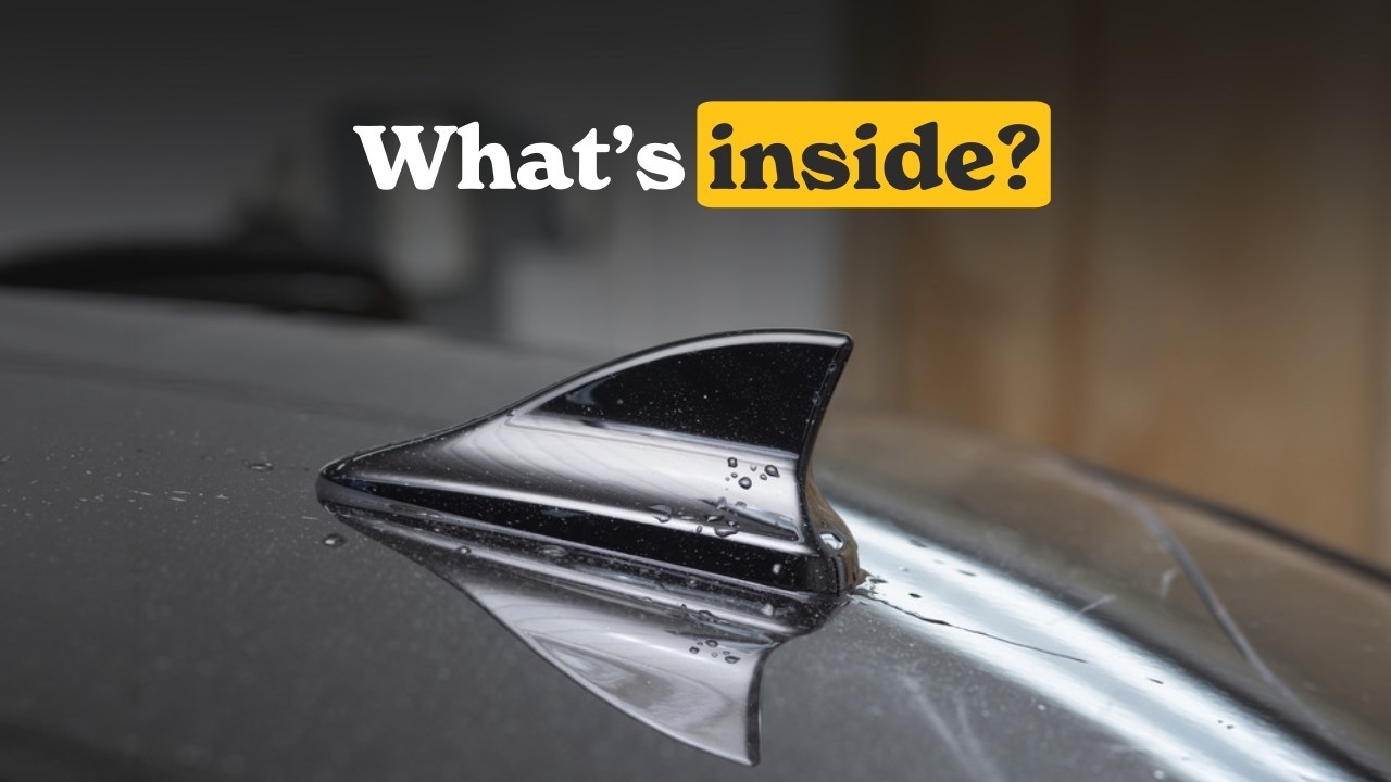 Why Do Cars Have Shark Fins on Their Roofs? 