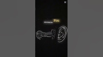 #القرآن_الكريم #المصحف #الشيخ_ياسر_الدوسري #اكسبلور #تلاوة_جميلة #تلاوة_خاشعة