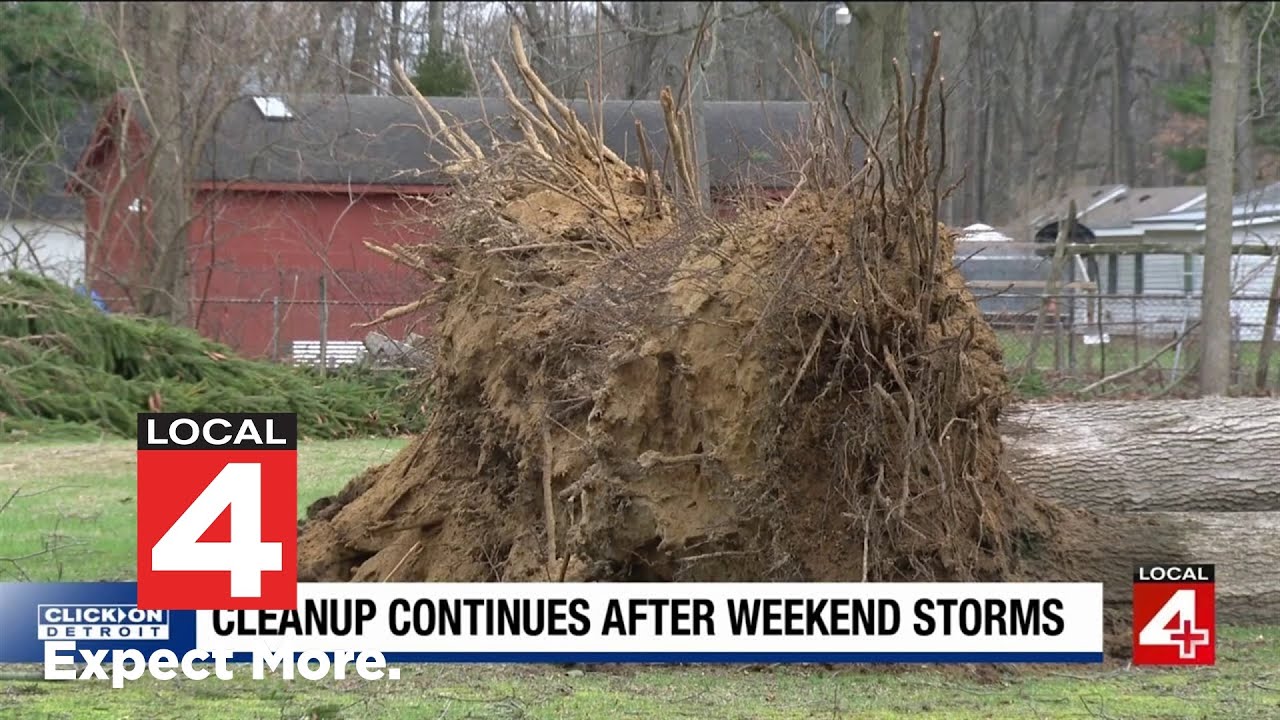 Strong storms leave trail of damage across Metro Detroit — cleanup ...