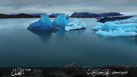 (وَقِيلَ لِلَّذِينَ اتَّقَوْا مَاذَا أَنزَلَ رَبُّكُمْ ۚ قَالُوا خَيْرًا ۗ) تلاوه خاشعه ومريحه