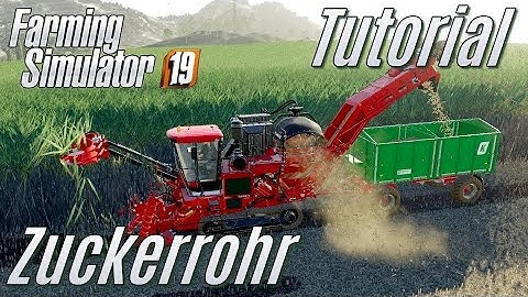 LS19: Tutorial: Zuckerrohr - für Einsteiger