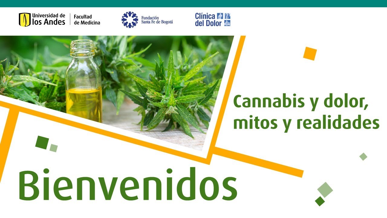 Cannabis para tratar el dolor: ¿realidad o mito?