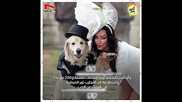 امرأة تتزوج من كلبها 