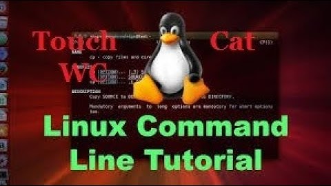 Basic Commands of Linux OS ( Touch, Cat, Wc ) Video No - 20