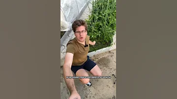 Почему у клубники мелкие ягоды? Как это можно исправить? Легко! Просто сделайте так !