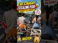 Sneaky Cat Caught Stealing Fish!#cartoon #funny cat #AI