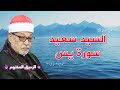 سورة ياسين الشيخ سيد سعيد