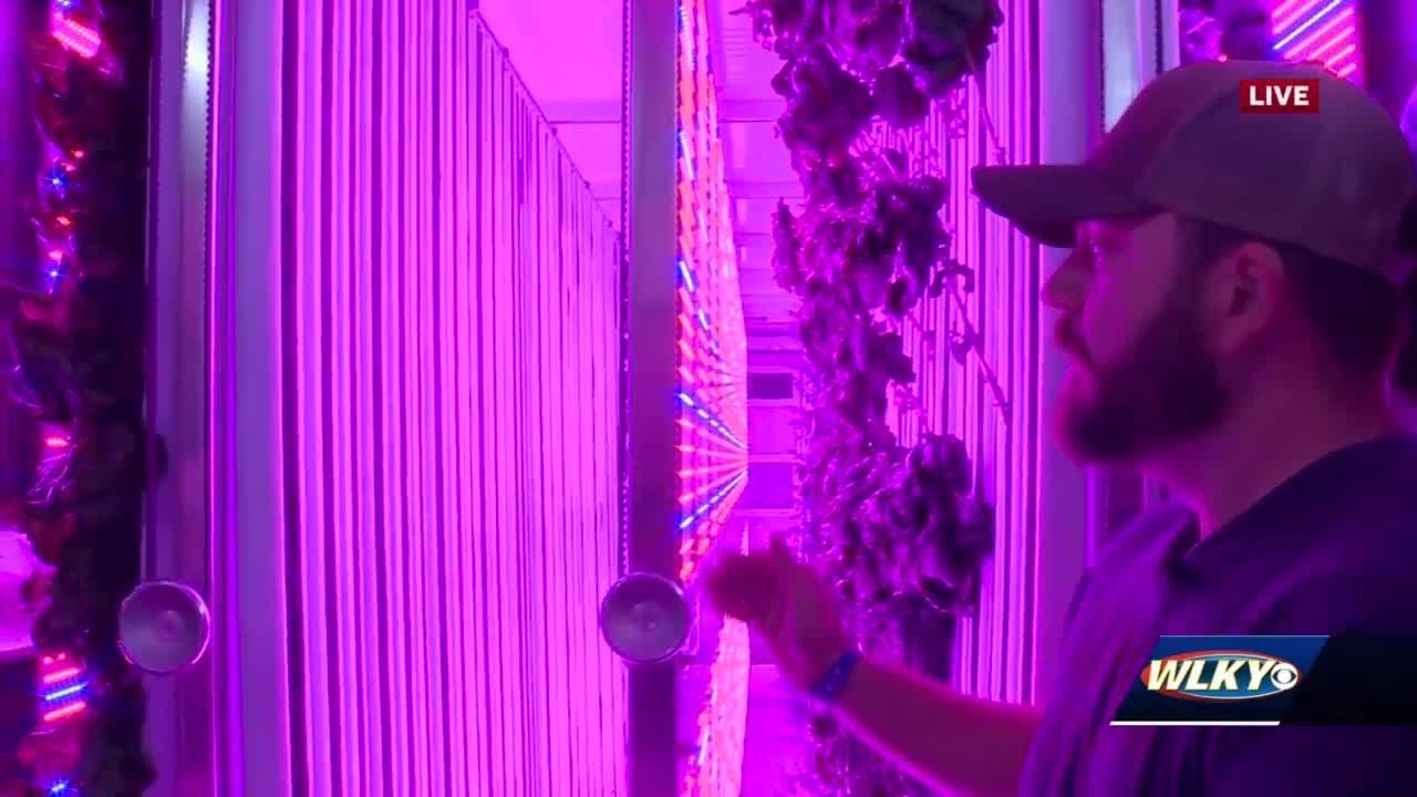 Falls City Farms grows acres of vegetables in a shipping container