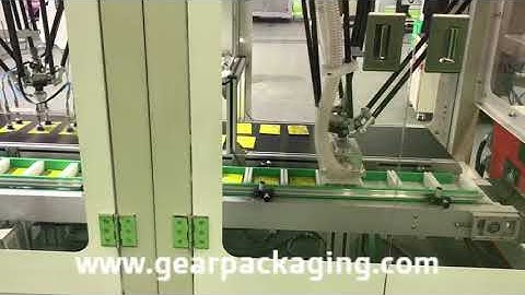 Spider robot hand bag sorting feeding convey machine running video