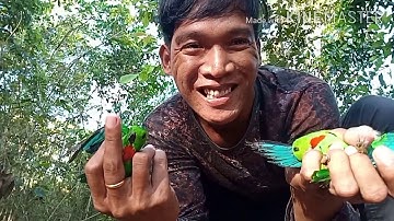 Memikat serindit vlog_15