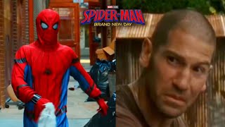 Average Spider-Man & Punisher interaction be like
