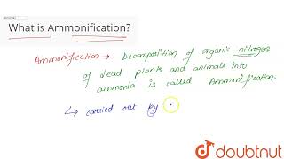 What Is Ammonification? Class 11 Mineral Nutrition Biology Doubtnut