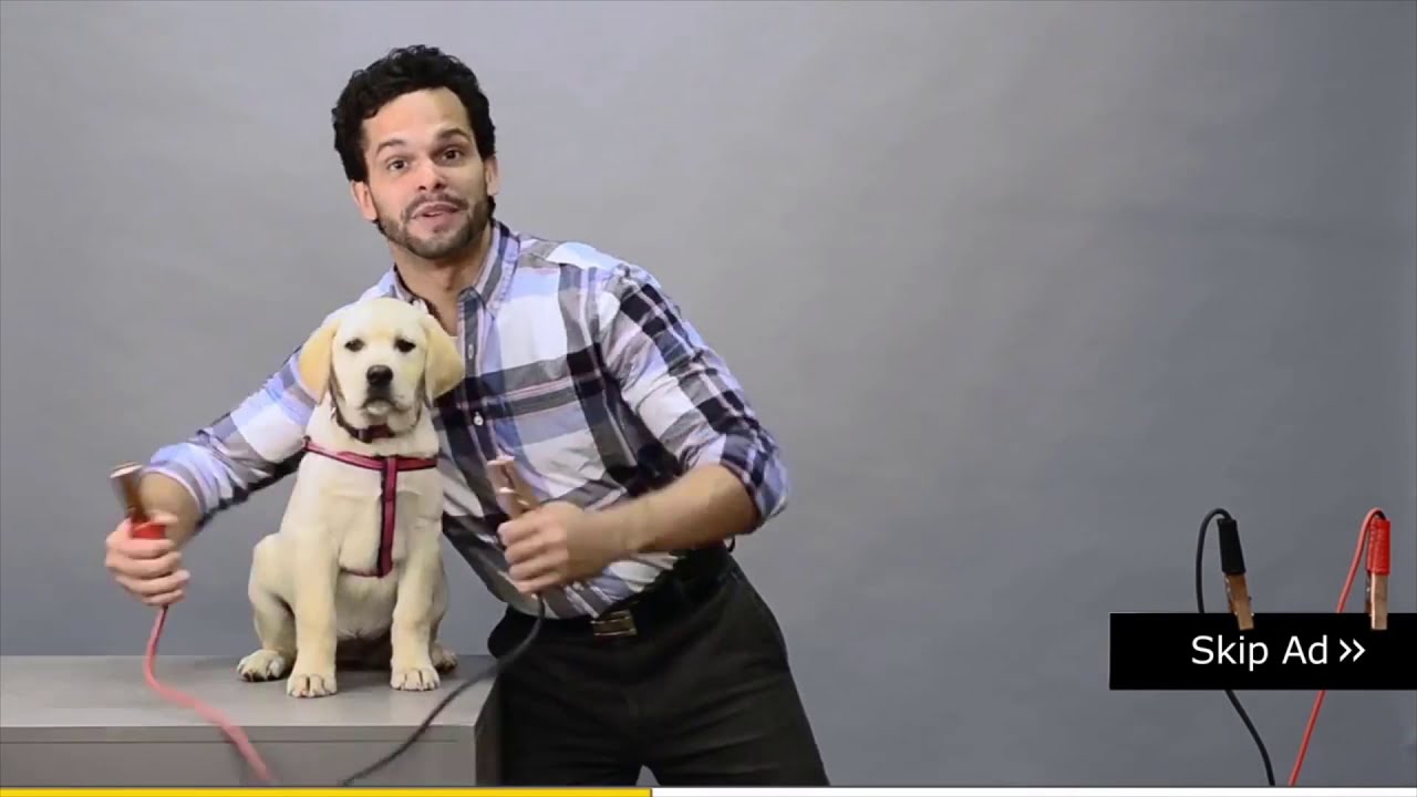 Don't Skip This Ad - YouTube