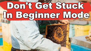 Beekeeping: How To Final Figure Out Beekeeping