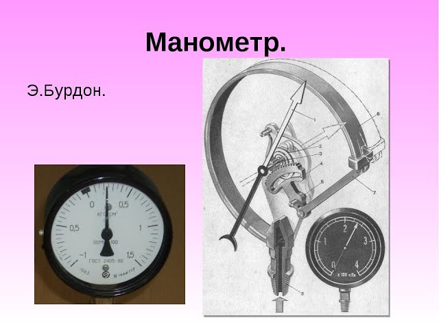 Жалаңаш жетілген аққұба Кулингули олардың суреті