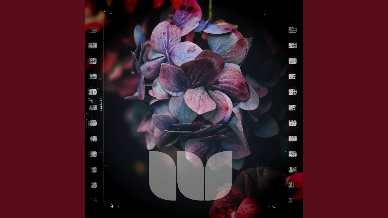 Watch Tidal on YouTube Watch Tidal on YouTube