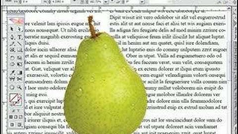 Tutorial 1 - Remove a picture background in 5  seconds