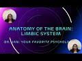 Your AWESOME Brain: Limbic System