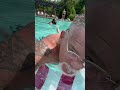 Sunday in the Greatest Country on Earth!! (please go watch the full video for the song playing!)
