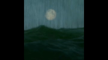 Animation Of a Rainy Ocean