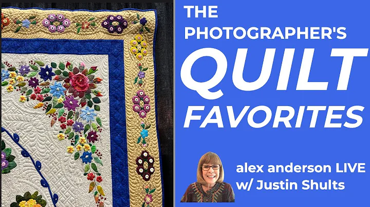 Alex Anderson LIVE - The Photographer's Quilt Favo...