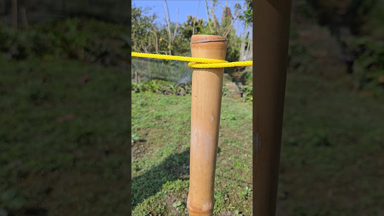 Wow! Beautiful work crafted knots!!