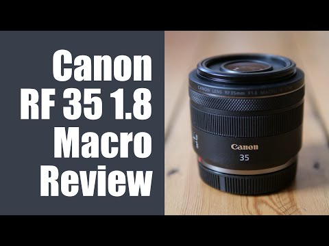 Canon RF 35mm f1.8 IN DEPTH review - NO-BRAINER for EOS R!
