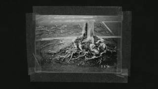 Download Lagu Trash Talk - Tangle EP (2016) MP3