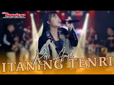 ITANENG TENRI BOLO (Koplo viral tik-tok) - RERE AMORA - MANAHADAP STUDIO (Official Music Video)