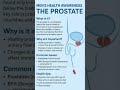 why prostate is important in males#education #knowledge #prostatehealth