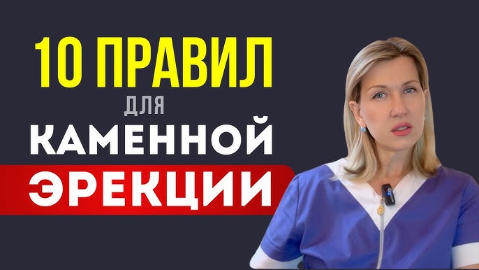 Мужская половая система Мужская половая система