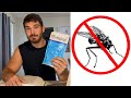 How to Get Rid of Flies Like a Pro