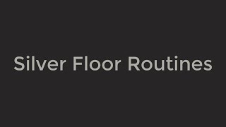 XCel Silver Floor Routines